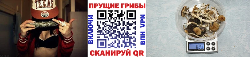 MEGA ССЫЛКА  Сельцо  Псилоцибиновые грибы Psilocybe 